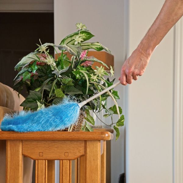 Categoría Útiles de limpieza Plumeros