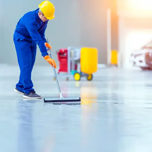 Útiles Limpieza Haraganes